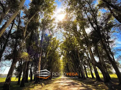 Terreno en Venta de 2600,0 m2