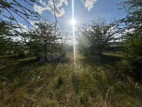 Etchegoyen - Exaltación de la Cruz