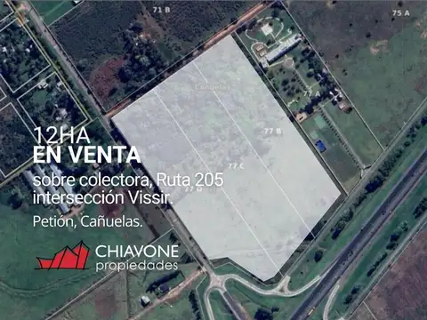 Campo de 12 ha, Cañuelas.