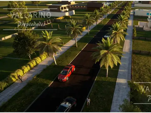 Loteo "Ruta de las Palmeras", San José.