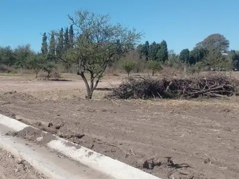 Terreno en Venta 14  mts Frente