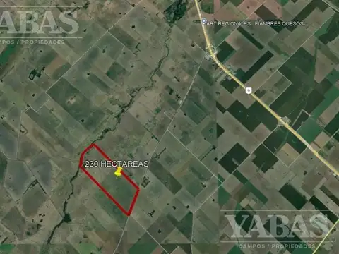 VENTA - CAMPO - RAMALLO - 230 HECTAREAS MIXTAS