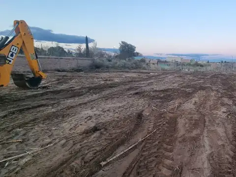 Santa Cruz