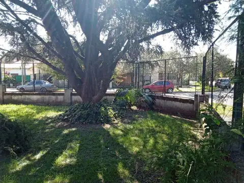 Pedro Elustondo 2500