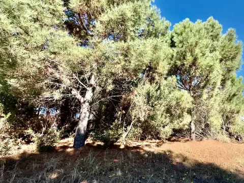 Terreno en Venta de 1000,0 m2