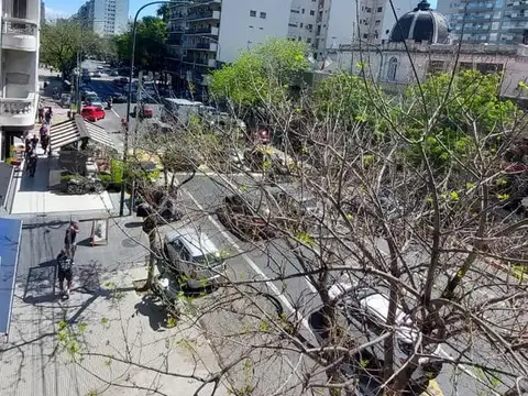 Departamento en Alquiler 50 años