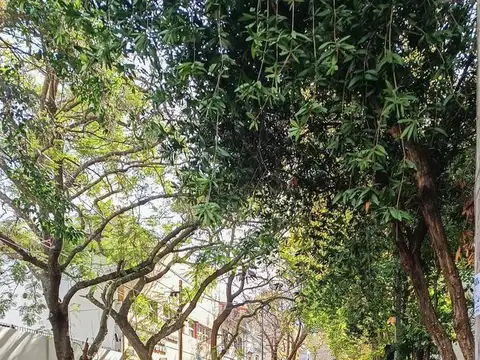 Local en Venta 30 años