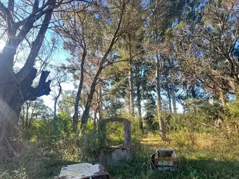 Campo en Venta Chacra