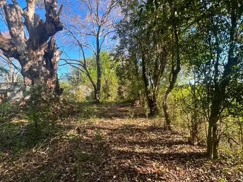 Campo en Venta en Libertador, Esquina