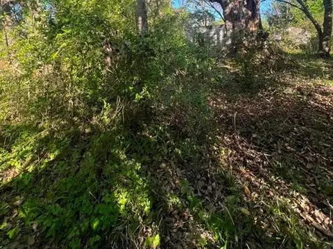 Camino Rural Libertador