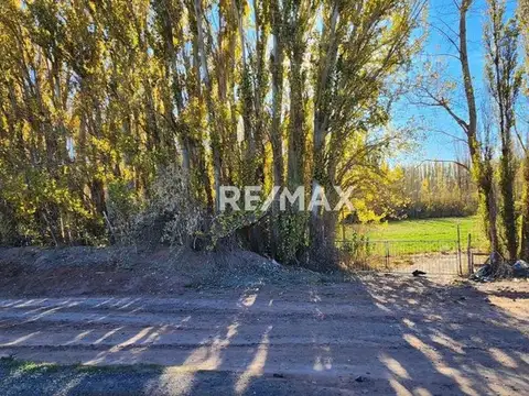 SE VENDE 2 HECTAREAS CON FRENTE DE RUTA 7, CENTENA