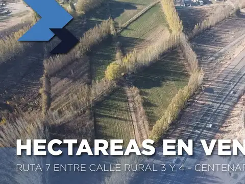 SE VENDE 2 HECTAREAS CON FRENTE DE RUTA 7, CENTENA