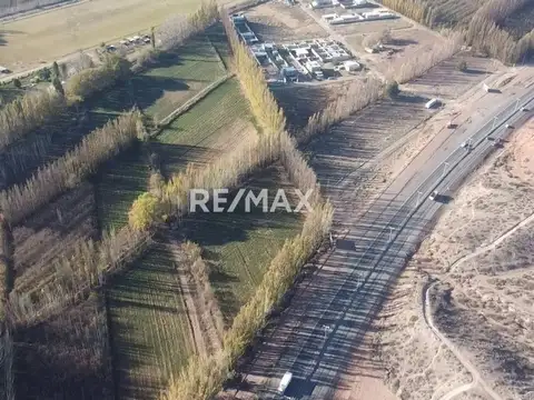 Terreno en Venta en Centenario, USD 600.000