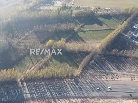 Terreno en Venta en Centenario, USD 600.000