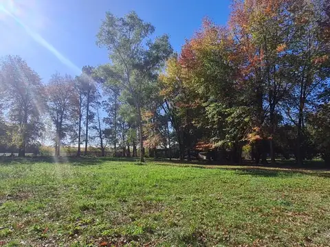VENTA CHACRA EN PILAR, OPORTUNIDAD. 4 HECTAREAS.