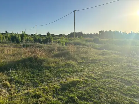 Terreno en Venta en Cervantes, USD 5.000