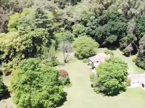 La Estela
