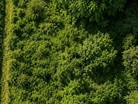 Terreno en Venta de 1585,0 m2