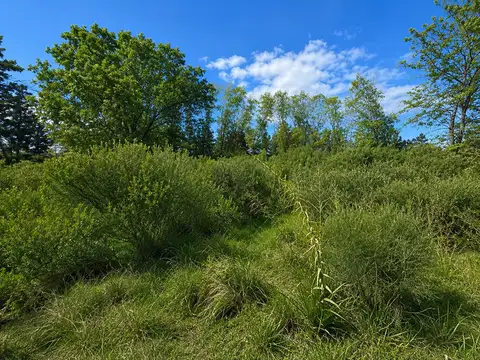Terreno en Venta de 1585,0 m2