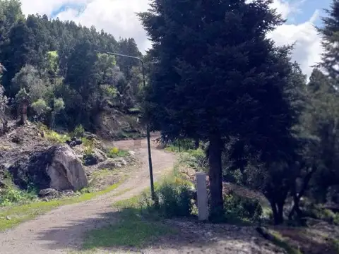 VENTA TERRENO SAN MARTIN DE LOS ANDES . ALIHUEN ALTO C/ FINANCIACION