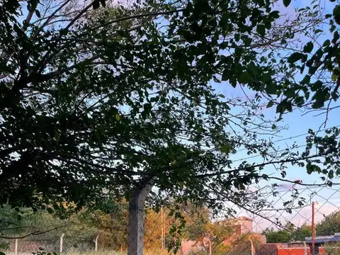Mirabal