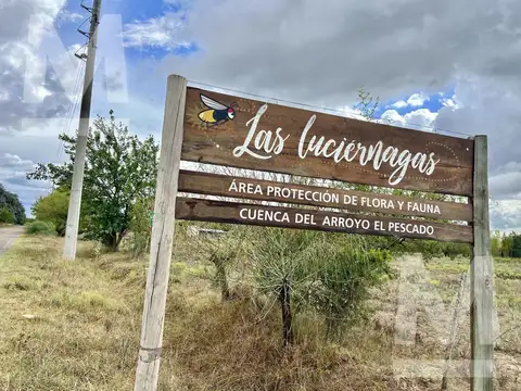 Terreno en Venta 32  mts Frente