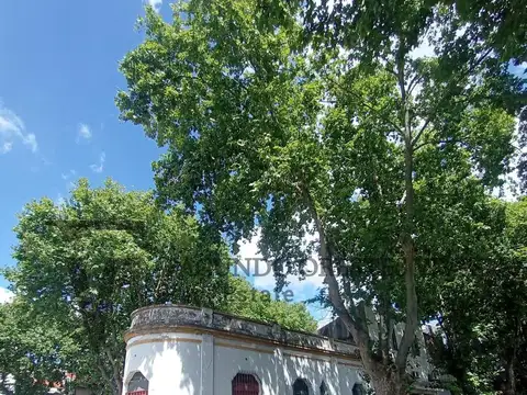 Avenida Bruix 4400
