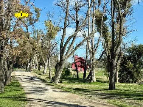 Lote Terreno Venta Lujan La Asuncion