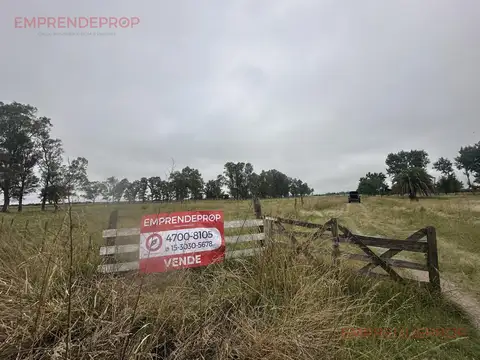 Campo de 6 Hectáreas a  metros de Ruta 6, San Vicente.