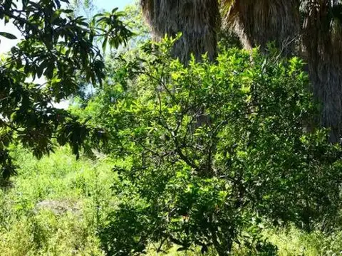 Terreno en Venta de 3409,0 m2