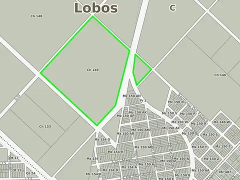24.83 HAS IDEAL LOTEO EN LOBOS DENTRO DE LA URBANIZACIÓN