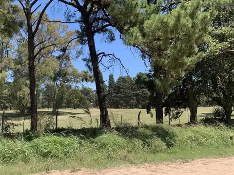 Terreno en Venta en Zarate, USD 15.500