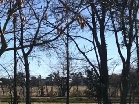 VENTA DE LOTE- PILAR DEL ESTE- SANTA GUADALUPE