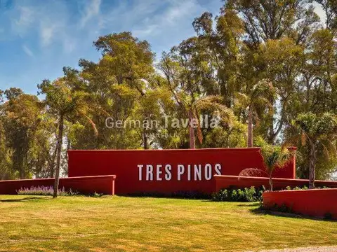 VENTA Terreno Tres Pinos - Barrio Norte -  1000 m2