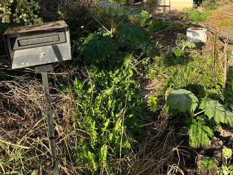 Terreno en Venta de 350,0 m2