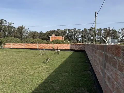 las cigueñas  al 500