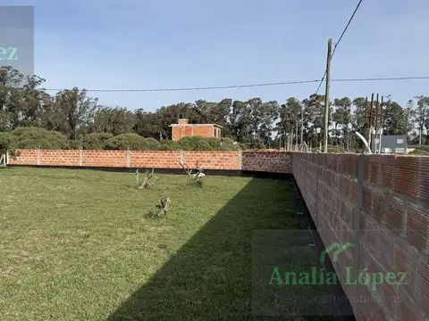 las cigueñas  al 500