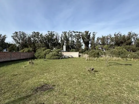 las cigueñas  al 500