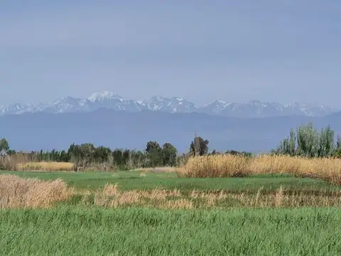 LAS CARPAS S/N° 5500