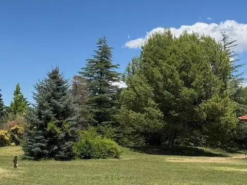 Quinta en  Venta en Villa 25 de Mayo - San Rafael - Mendoza