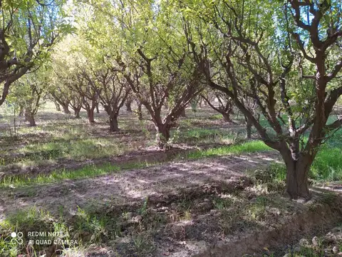 Campo en Venta en Costa de Araujo, Lavalle