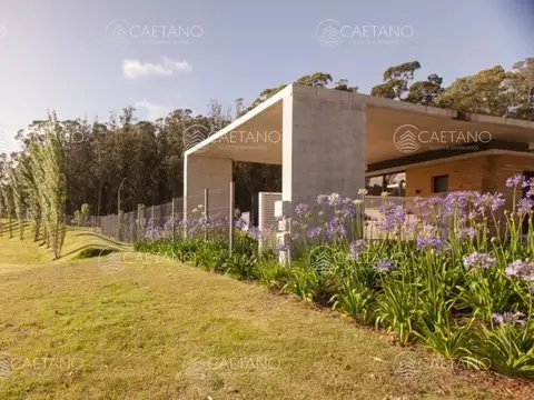 Venta terreno 1008 metros cuadrados. Los Caracoles, Punta del Este 