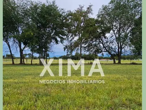 La Arbolada terreno en venta