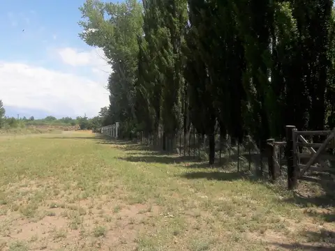 Ruta 100