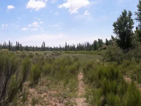 Campo en Venta de 8  ha