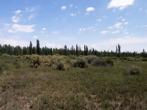 Chacra 8, Hectáreas, 25 de Mayo La Pampa