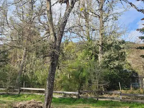 Cruz del Sur , Piso 0