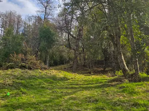 Cruz del Sur , Piso 0