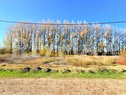 Terreno en Venta de 370,0 m2