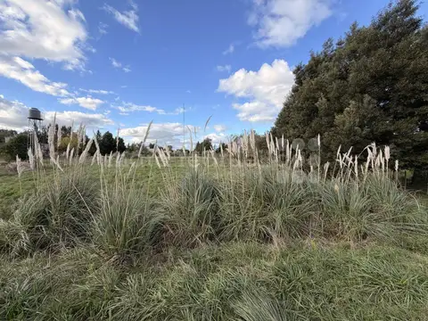 LOTE EN VENTA EN LOS RANQUELES CHASCOMUS